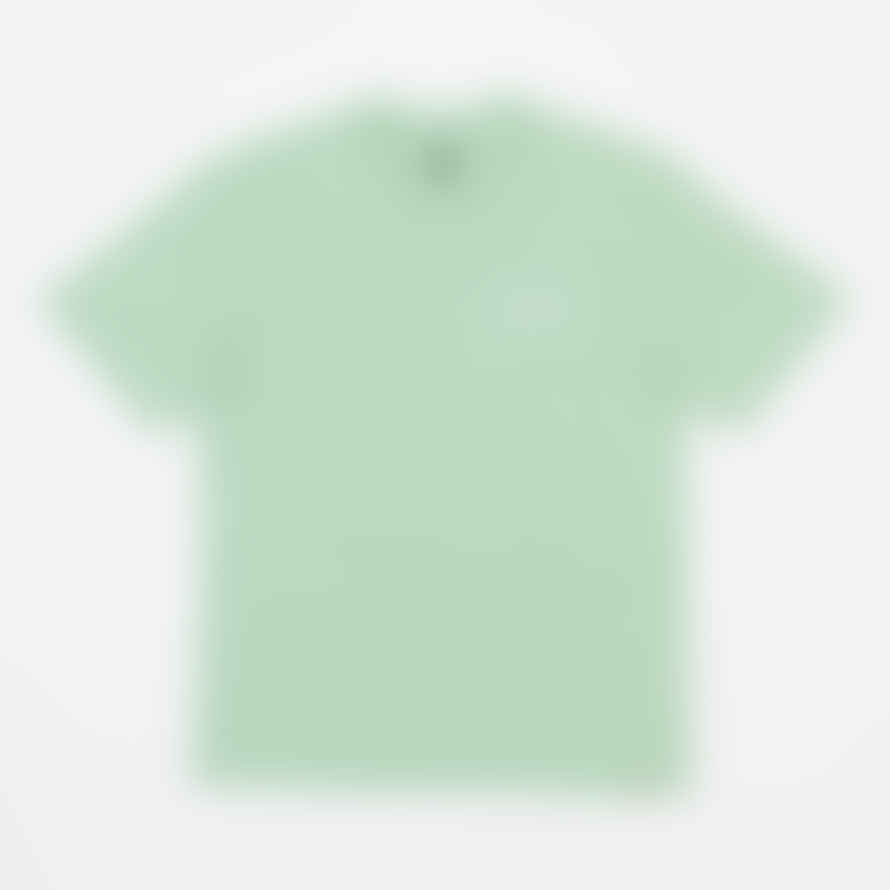 Dickies Dighton Short Sleeve Logo T-shirt in Quiet Green