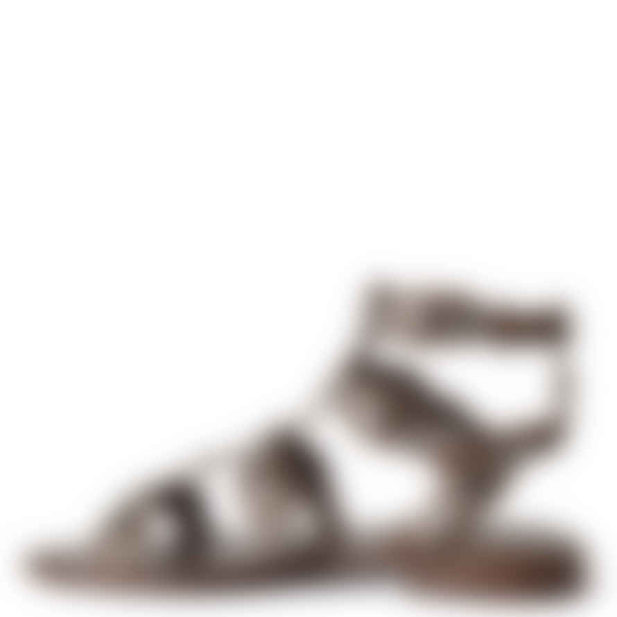 Ash Shoes Pacha Leather Gladiator Sandals Brown
