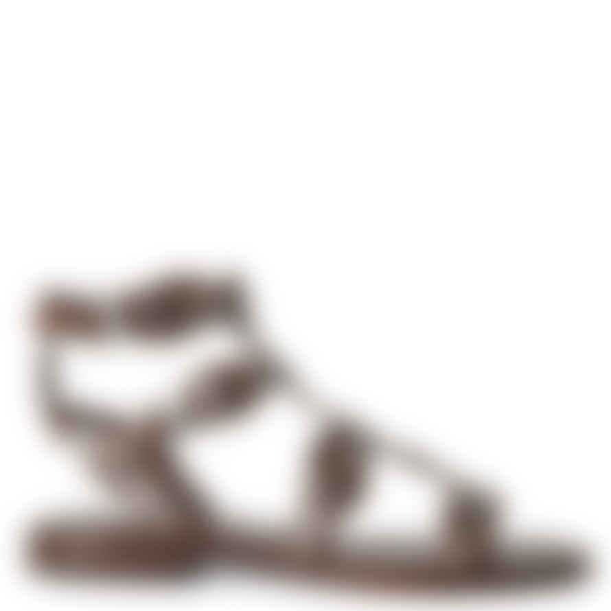 Ash Shoes Pacha Leather Gladiator Sandals Brown