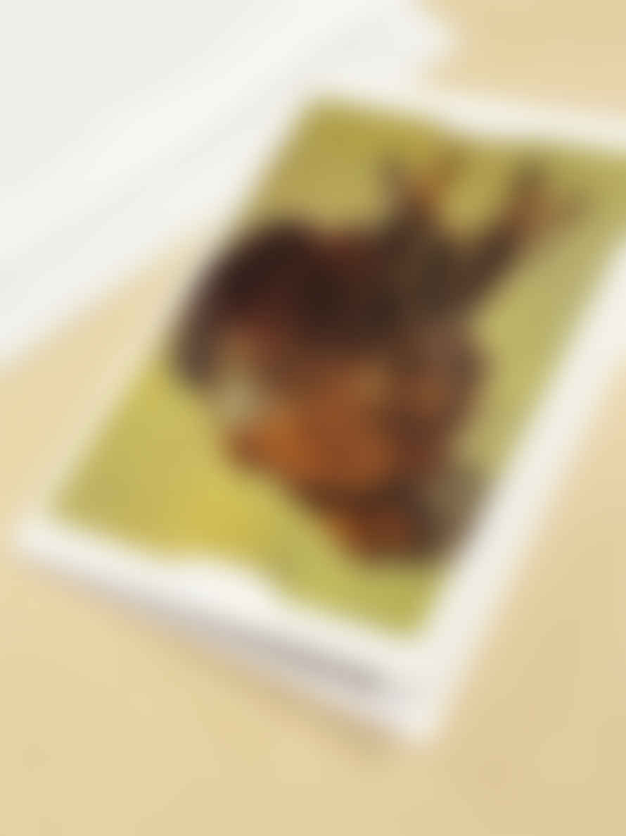 L.M.Kartenvertrieb & Verlags Tarjeta 3d 'conejo' - Albert Dürer