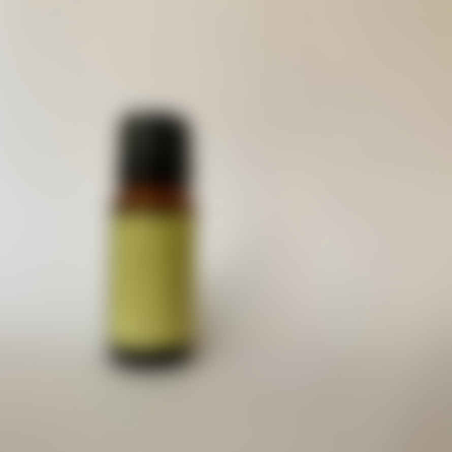By Life Store Lemongrass Essential Oil