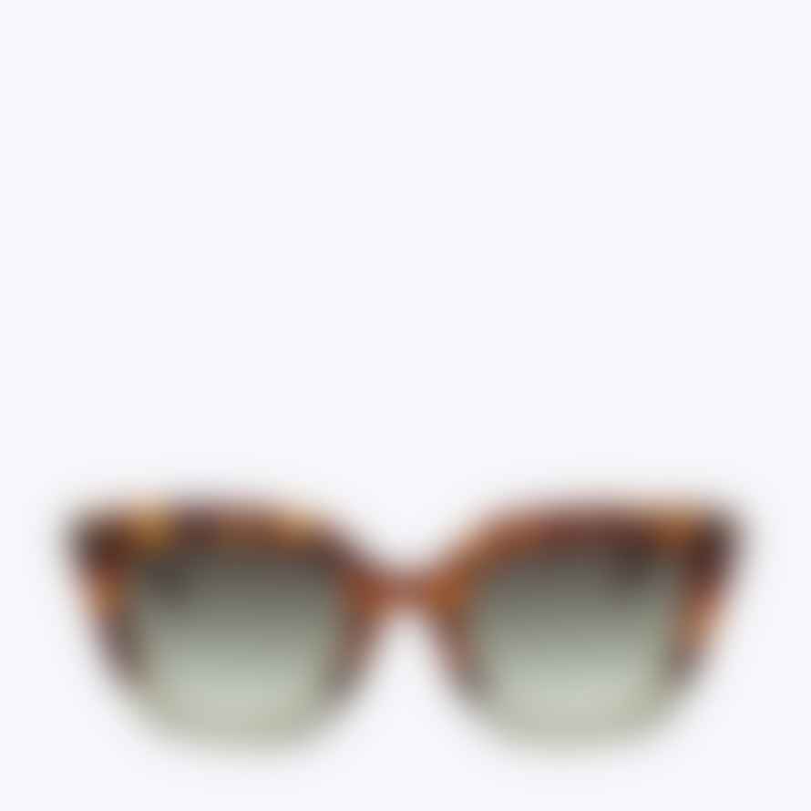 TIWI Gafas De Sol Hale 106 Tiwi