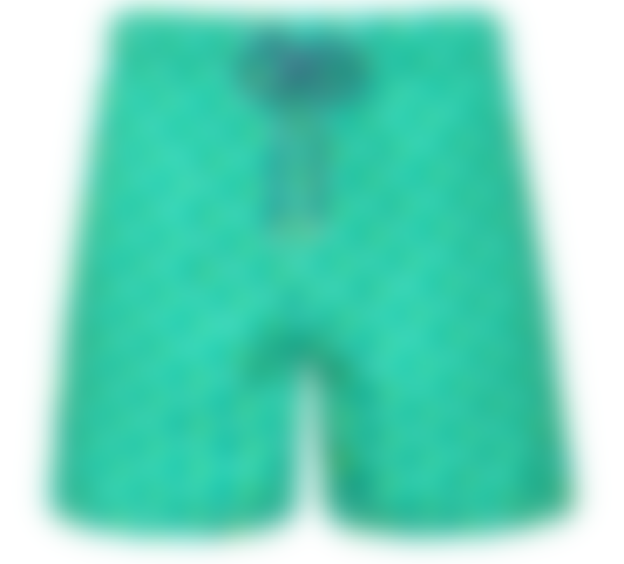 Vilebrequin Mahina Swin Short Ultra-light & Packable Micro Ronde Des Tortues Rainbow Tropiezan Green