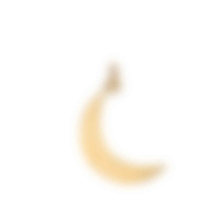Renné Jewellery 18 Carat Gold Plated Crescent Moon Charm