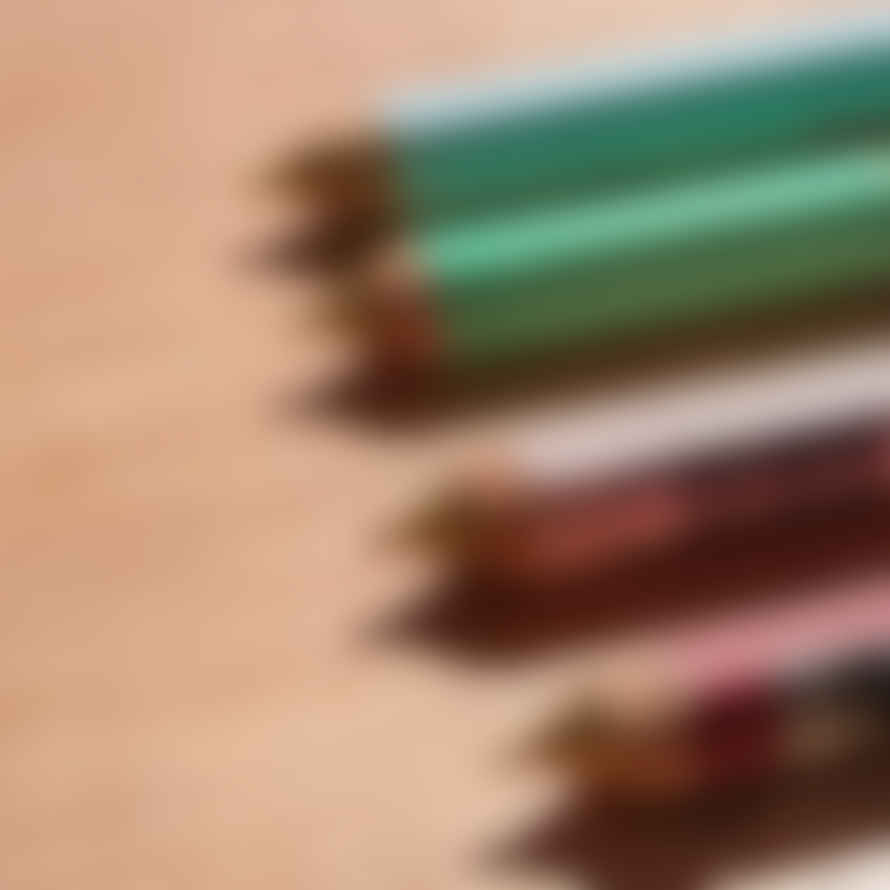 Mark's  Days 0.5mm Mechanical Pencil Various Colours
