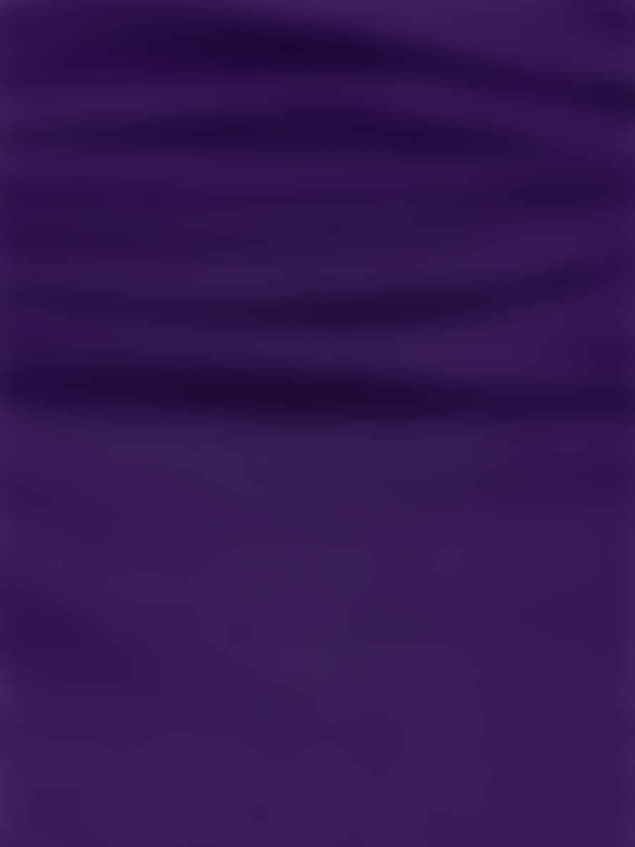 Riani Turtleneck Top Black Violet