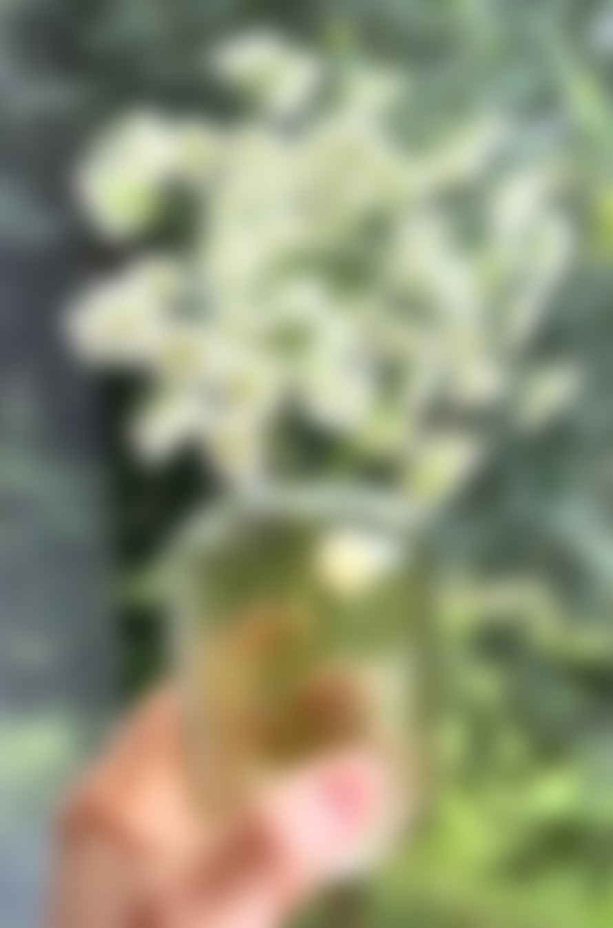 Hubsch Green Fleur Vases - Medium