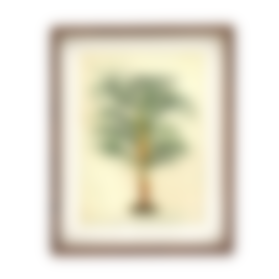 Temerity Jones Vintage Palm Tree Framed Wall Art : Thin Leaf or Thick Leaf