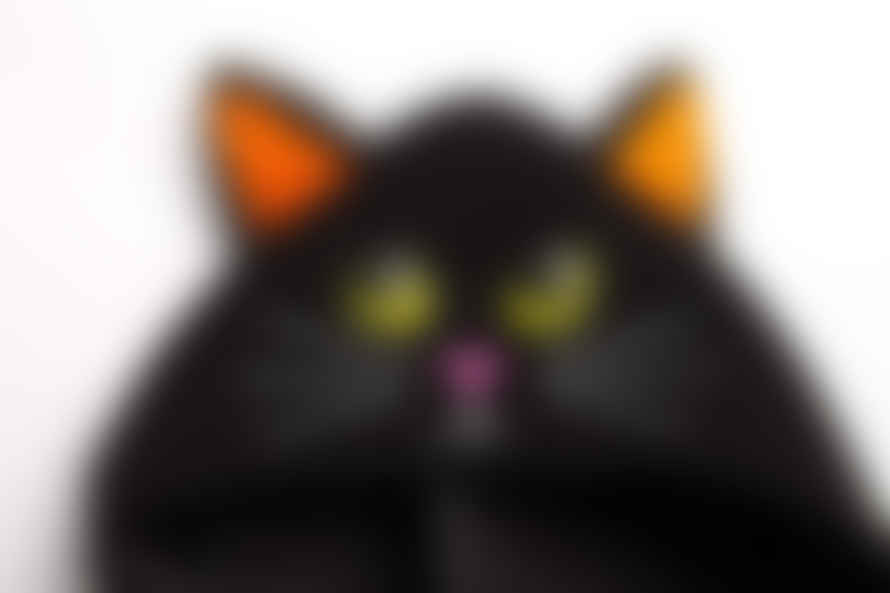 Folat Cape Black Cat For Childen 23805