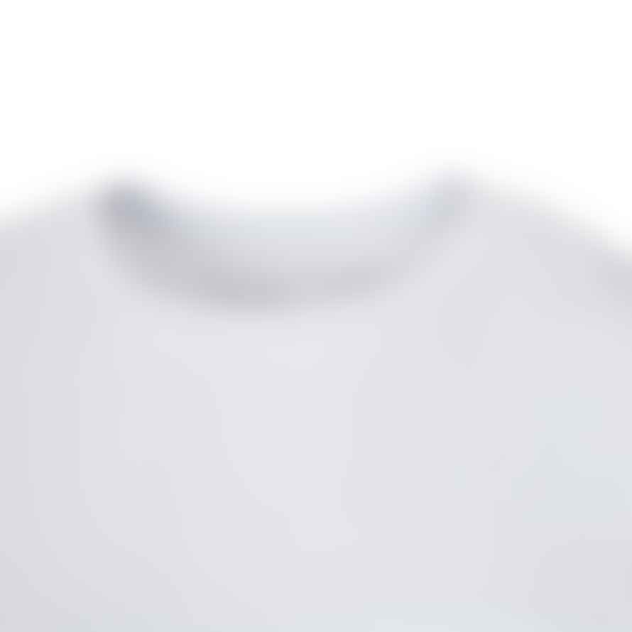Patagonia Boardshort T-shirt - White
