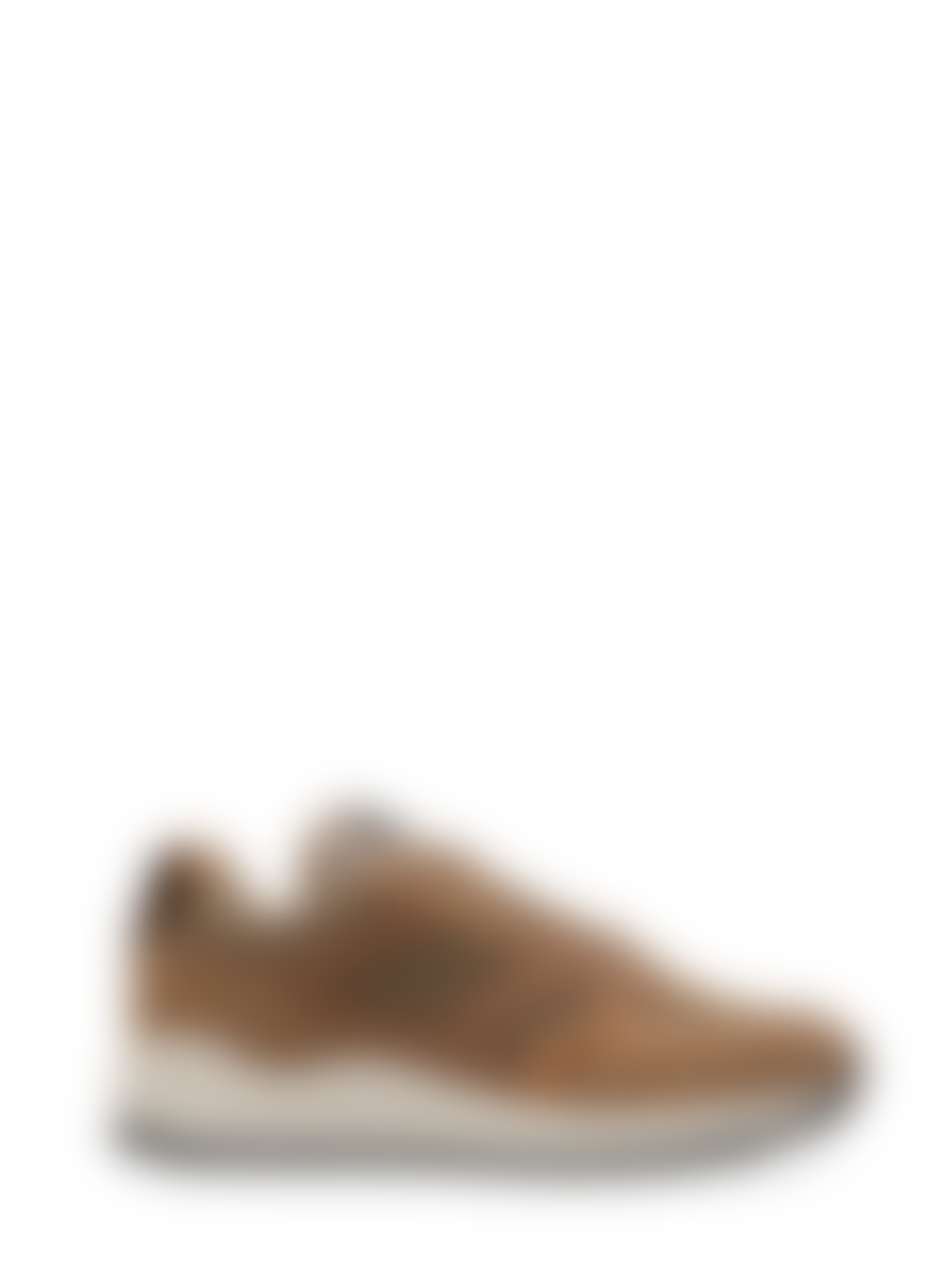Maruti  Beige and Pixel Off White Boyd Suede Trainers