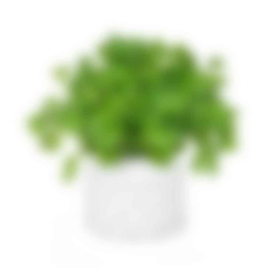 Nadiya Hussain  Herb Plant Pot
