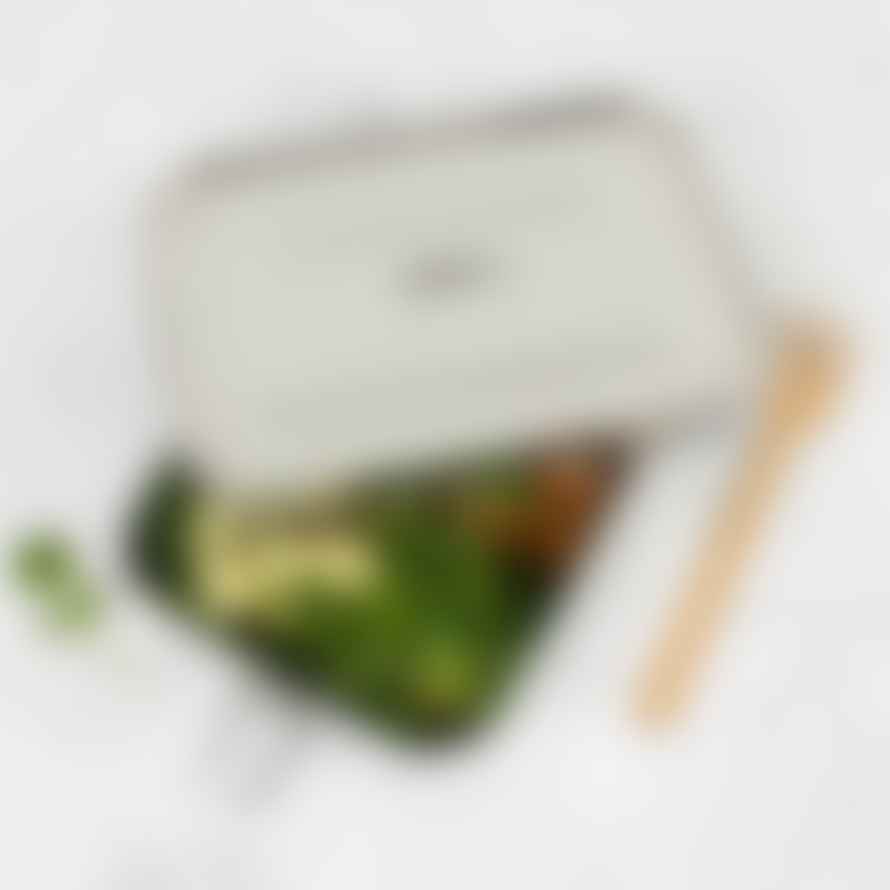 A Slice of Green Yanam Leak Resistant Lunch Box 