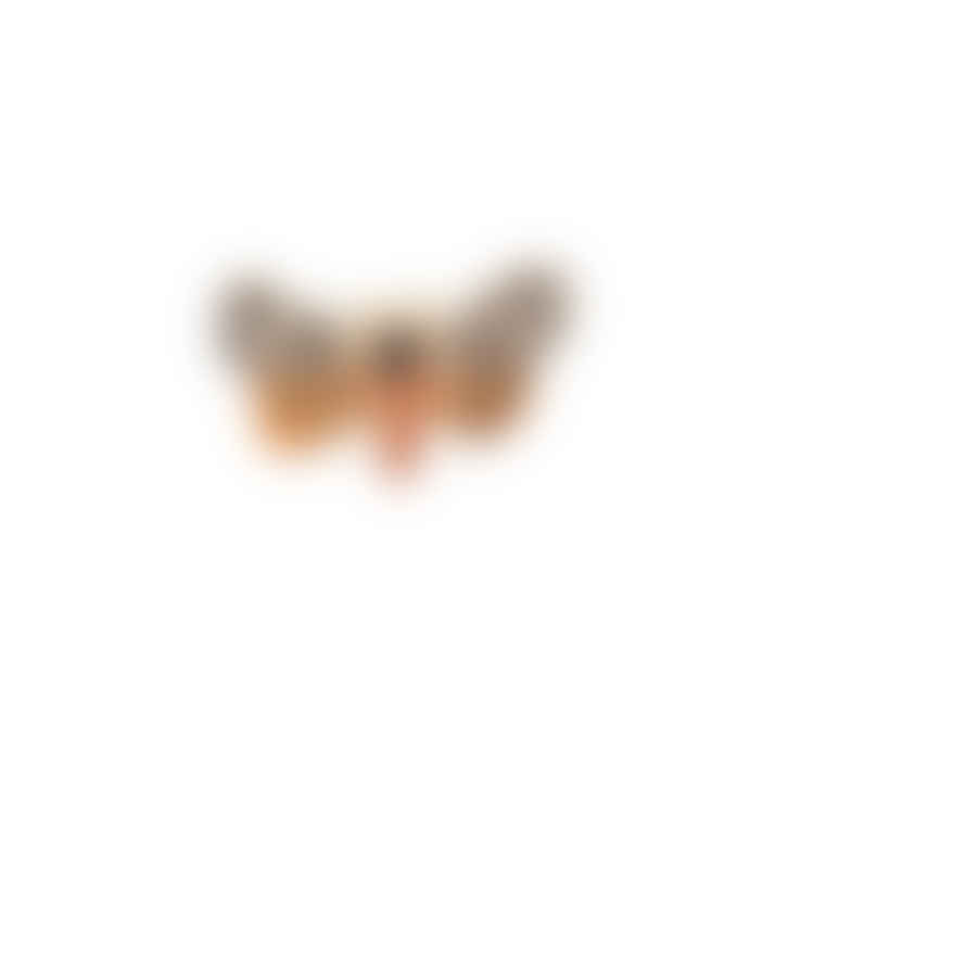 Little Paisley Designs Pin Brooch Tiger Moth
