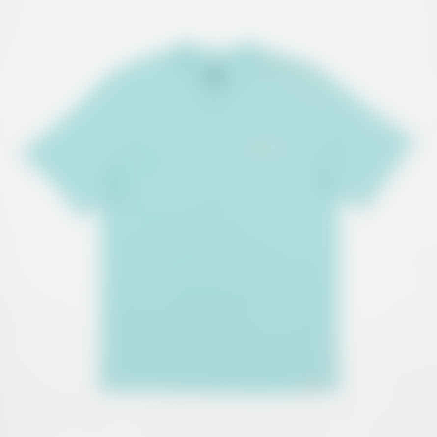 Dickies Hays Graphic T-shirt in Pastel Turquoise