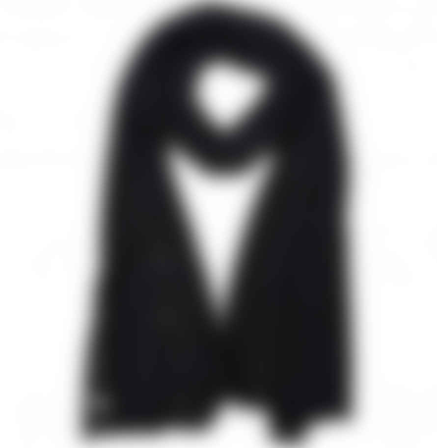 Seeberger Cashmere Scarf In Black