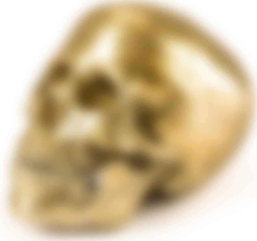 Seletti Wunderkammer Human Skull 10891