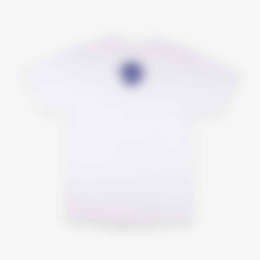 Buzz Rickson's 30th Anniversary T-shirt - White