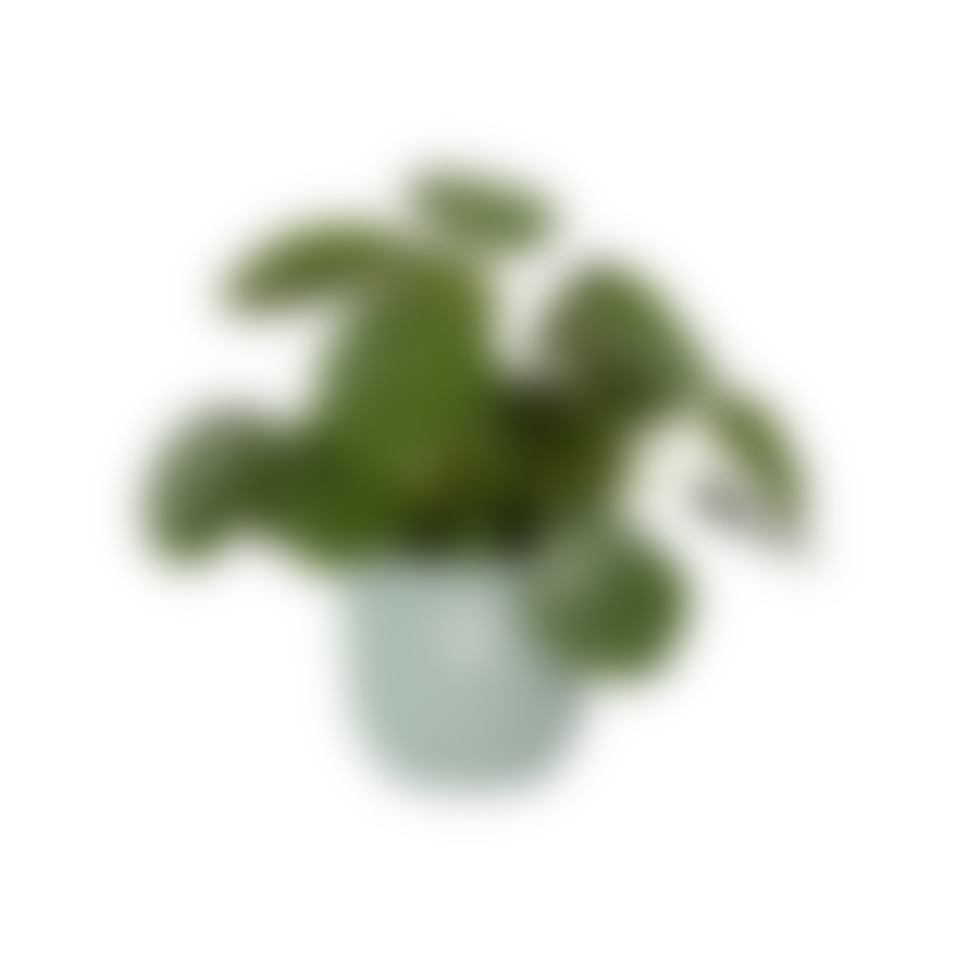 elho 7cm Sorbet Green Vibes Fold Mini Flower Pot