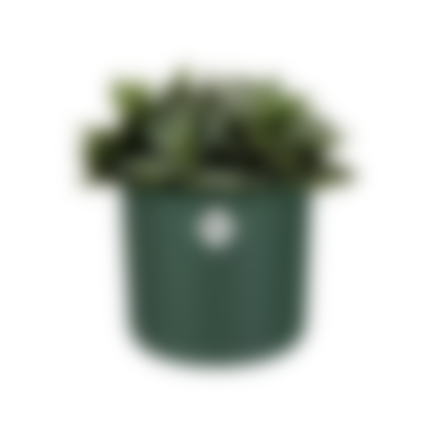 elho 14cm Leaf Green b.for Collection Flower Pot