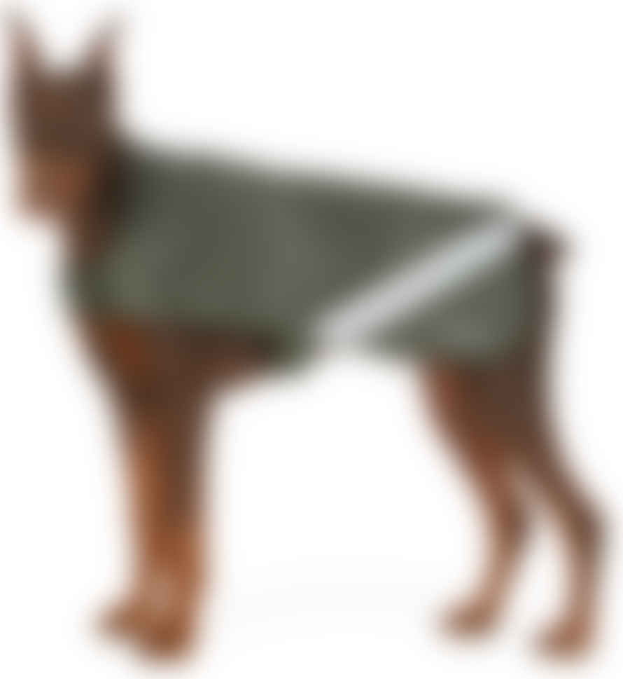 Stutterheim Stutterheim Dog Raincoat