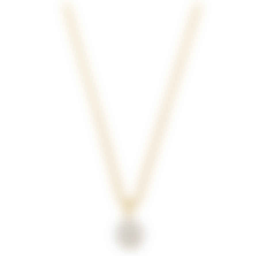 Orelia Flat Pearl & Rope Chain Necklace - Gold
