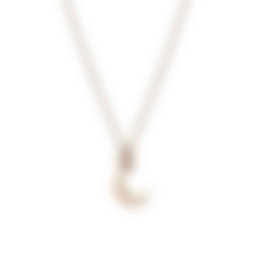 Renné Jewellery 9 Carat Trace Chain & Salina Mini Moon