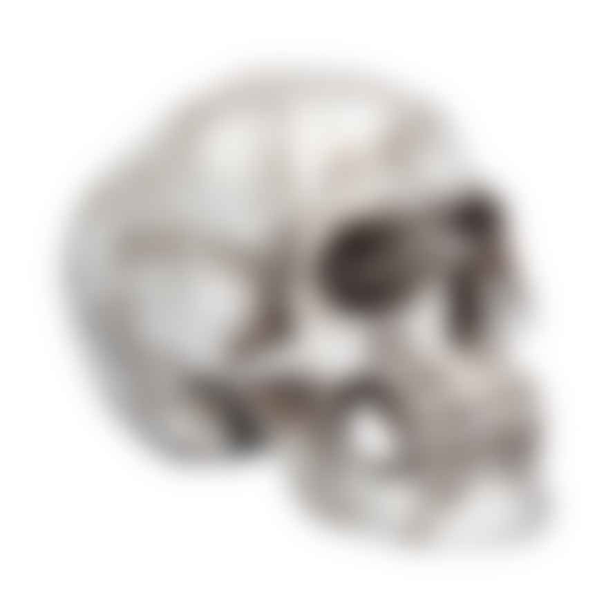 Joca Home Concept 19cm Skull Rivet Head