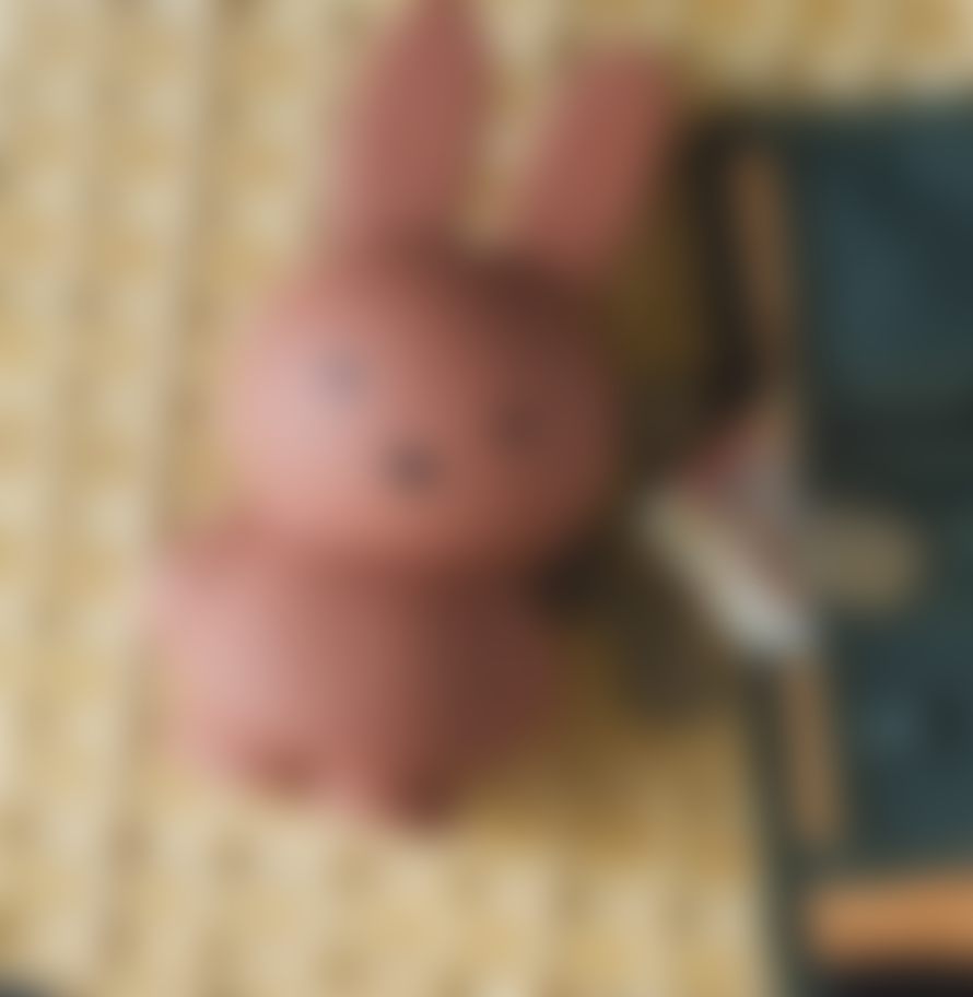 Stempels&Co Tirelire Miffy Warm 19cm - Poudre