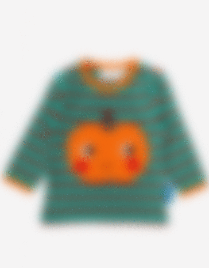 Toby Tiger Organic Pumpkin Applique T Shirt
