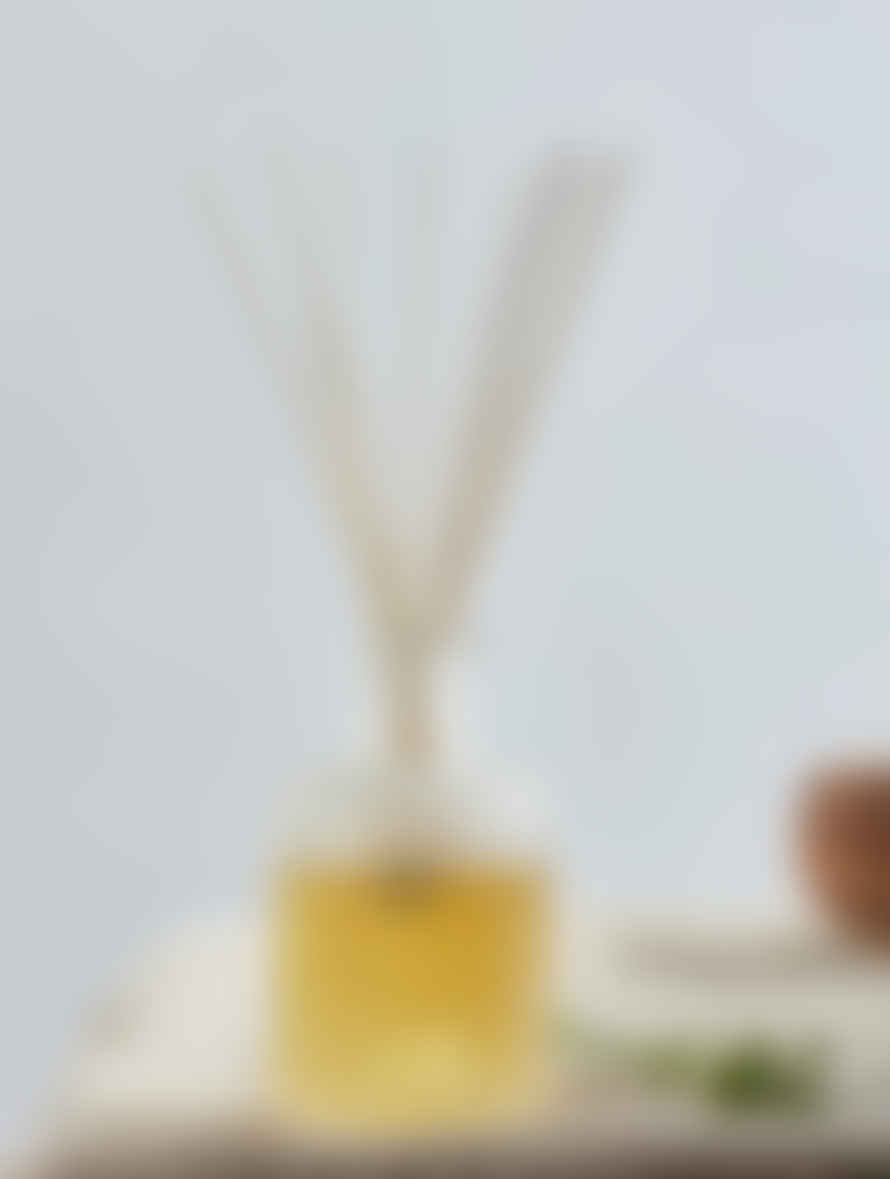 St Eval Candle Company - Thyme & Mint Reed Diffuser