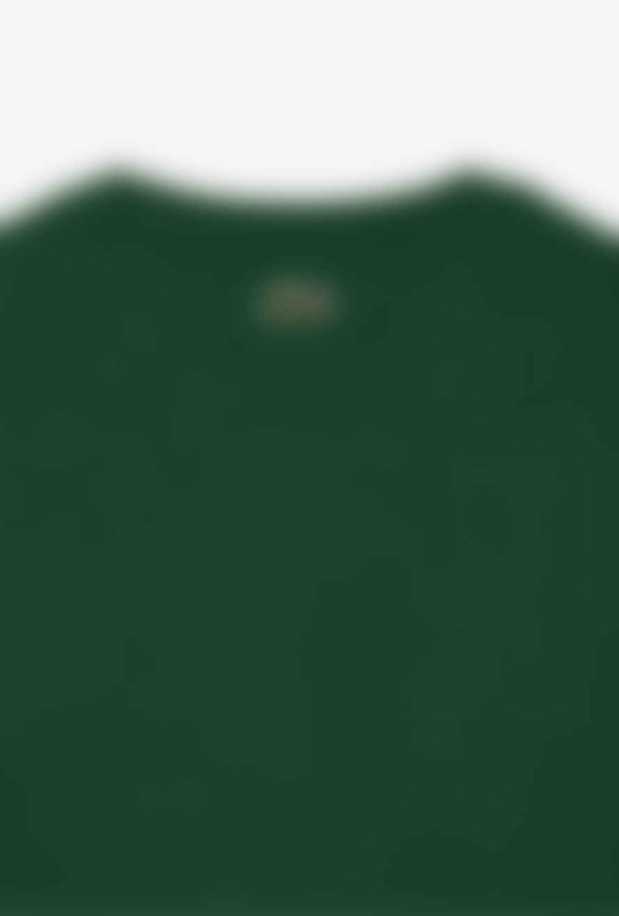 Lacoste Lacoste Men's Regular Fit Cotton Jersey Branded T