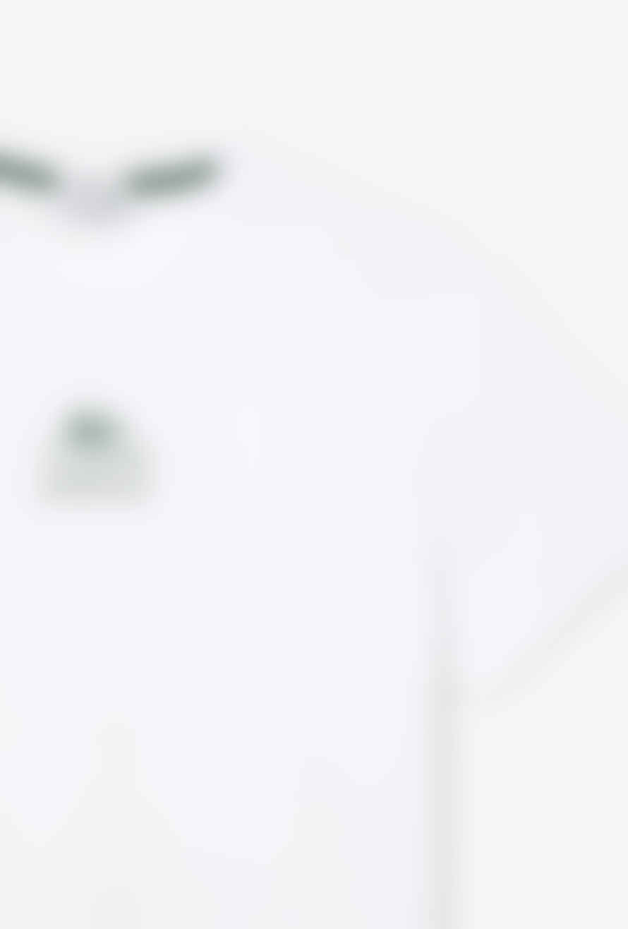 Lacoste Lacoste Men's Regular Fit Cotton Jersey Branded T