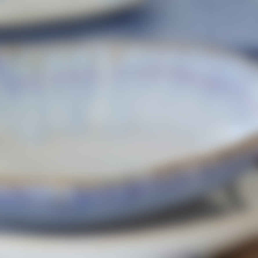 COSTA NOVA Blue & White 'brisa' Pasta Bowl, 23cm