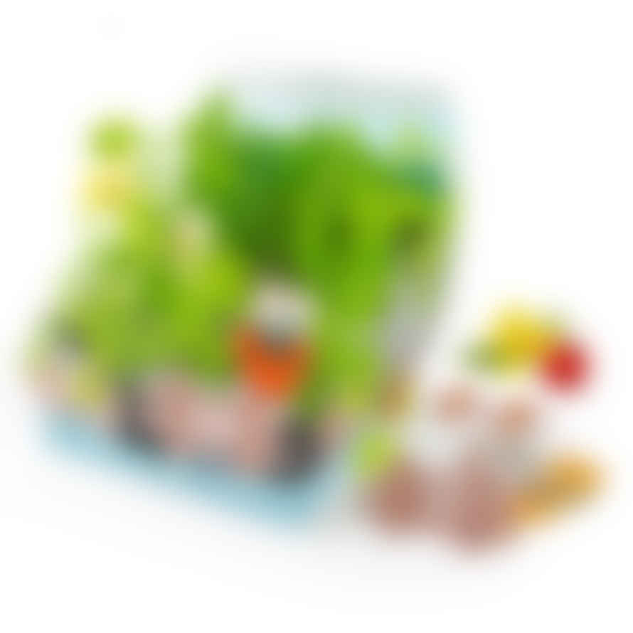 Radis et Capucine Organic Mini Vegetable Garden Set