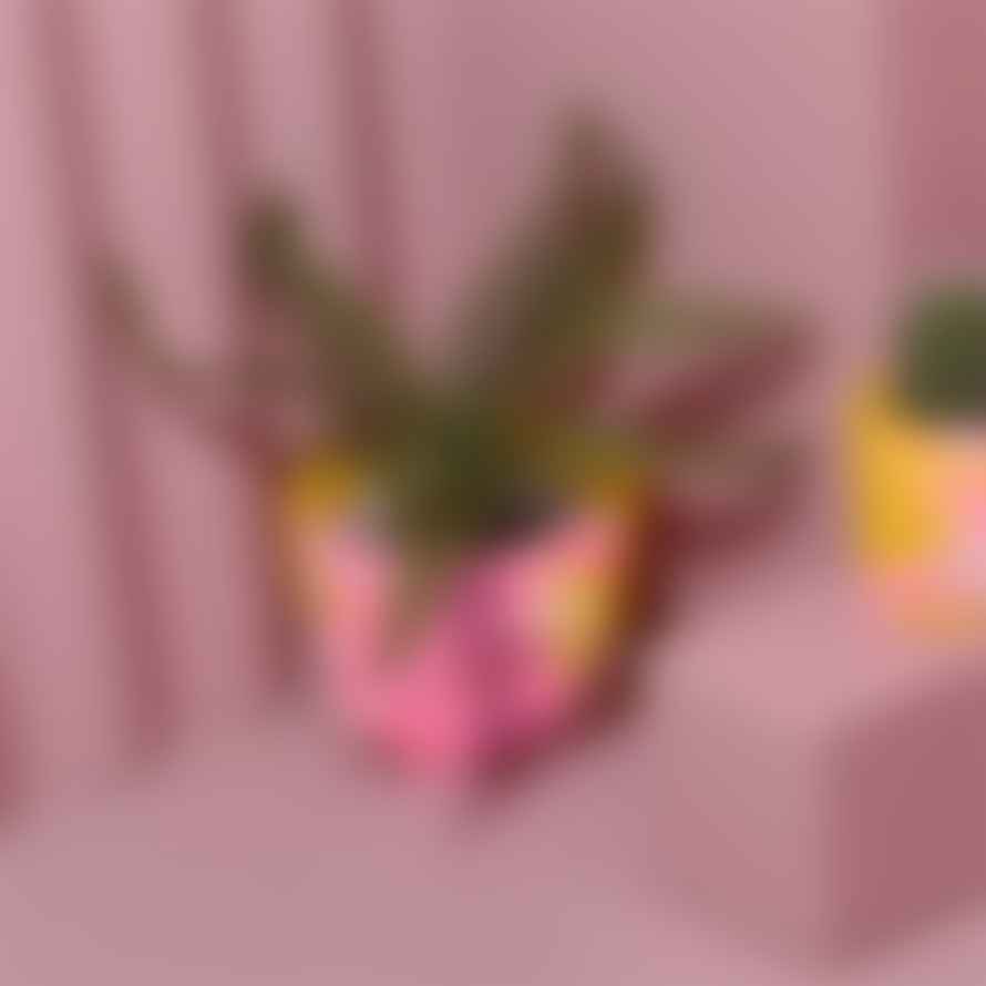 Misshandled Medium Mustard and Pink Geometrical Plant Pot