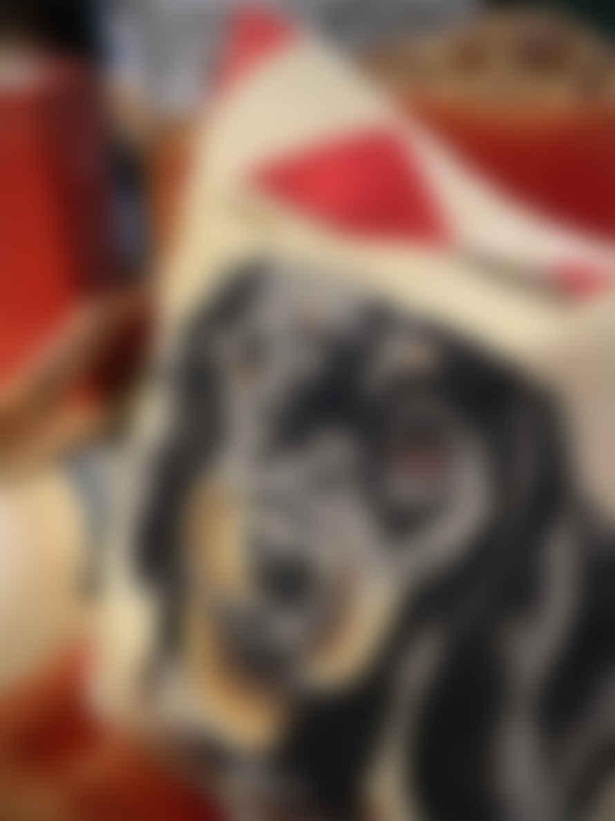 Yapatkwa Cojín 'dachshund Portrait' Con Perro Teckel - 45x45 Cm
