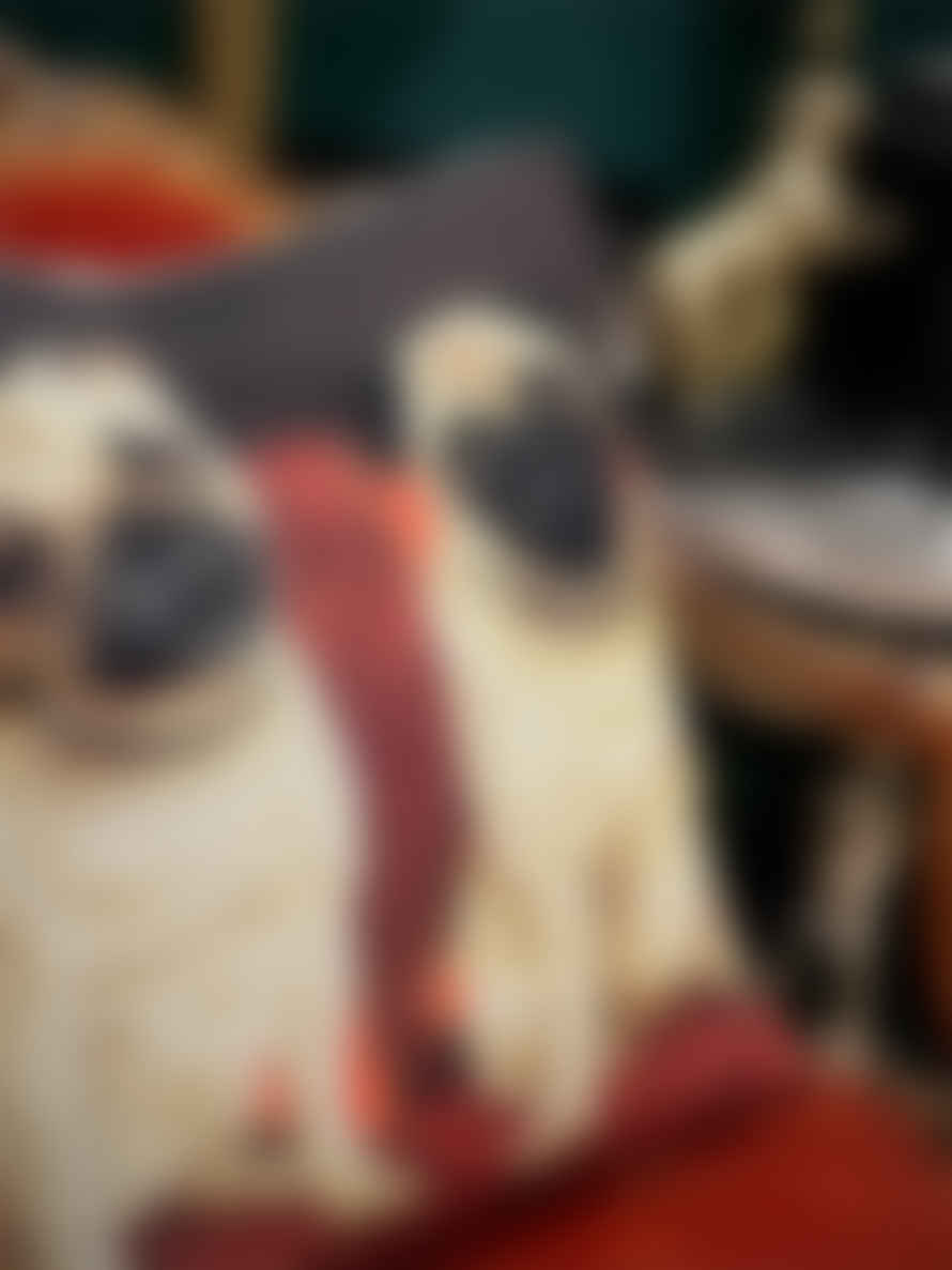 Yapatkwa Cojín 'pugs On Sofa' Con Perros Carlinos - 45x45 Cm