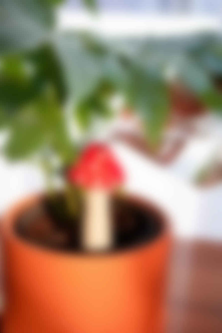 DOIY Design Red Amanita Plant Waterer