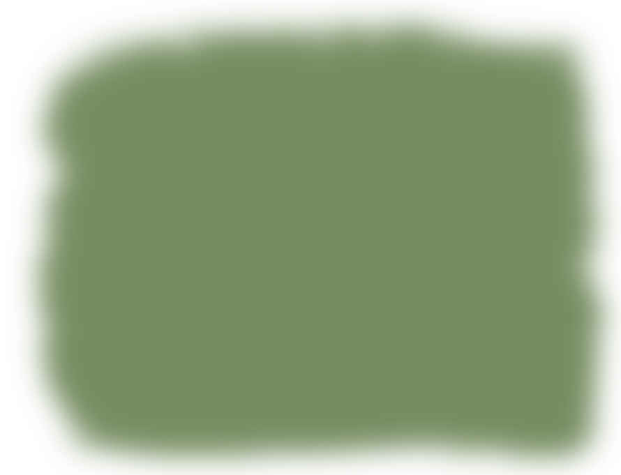 Annie Sloan 500ml Capability Green Chalk Paint®