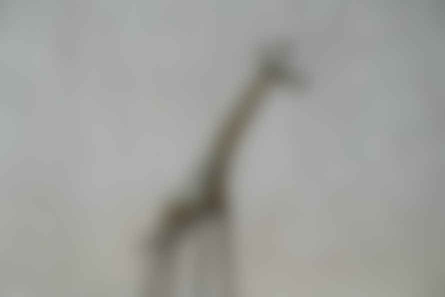 botanicalboysuk Tuareg Brass Animals - Giraffe 43.3