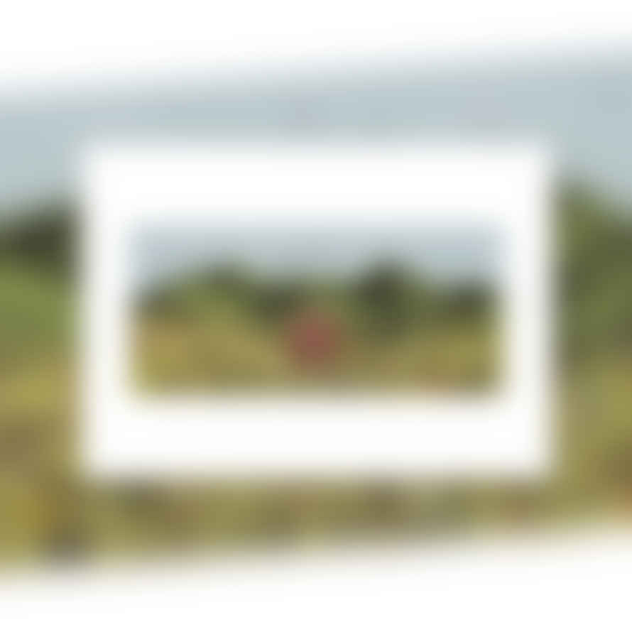 Aimee Mac A3 Red Cabin Framed Print