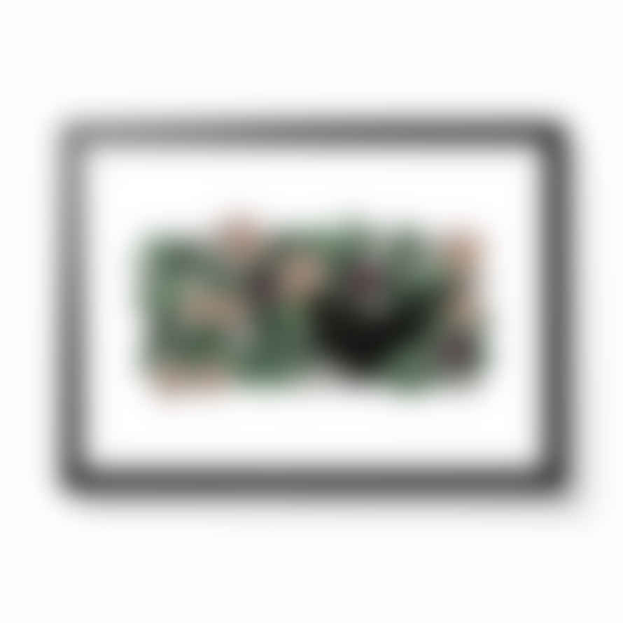 Aimee Mac A3 Blackbird Hedgerow Framed Print