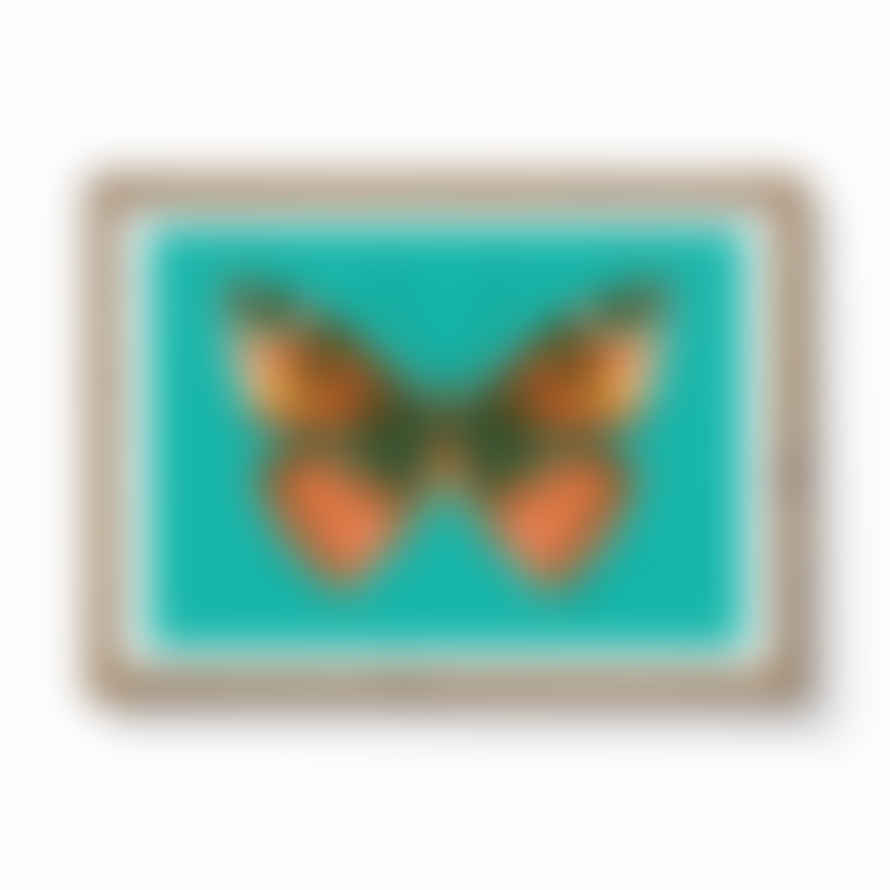 Lele Saa Butterfly Teal A3 Framed Print