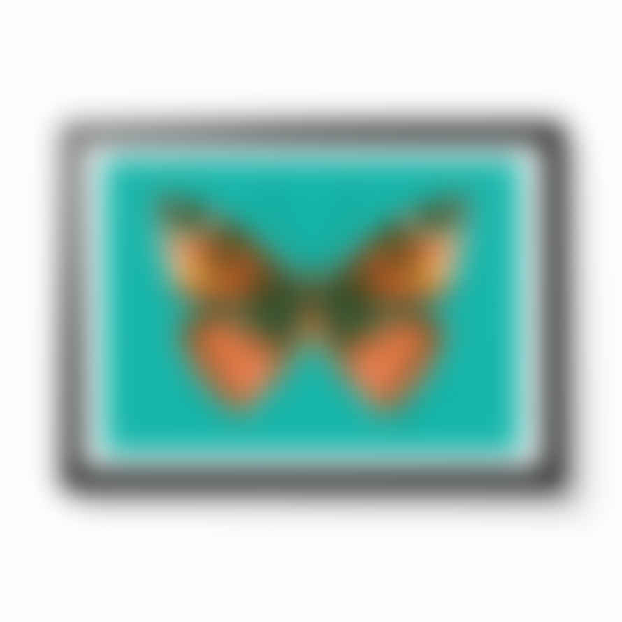 Lele Saa Butterfly Teal A4 Framed Print