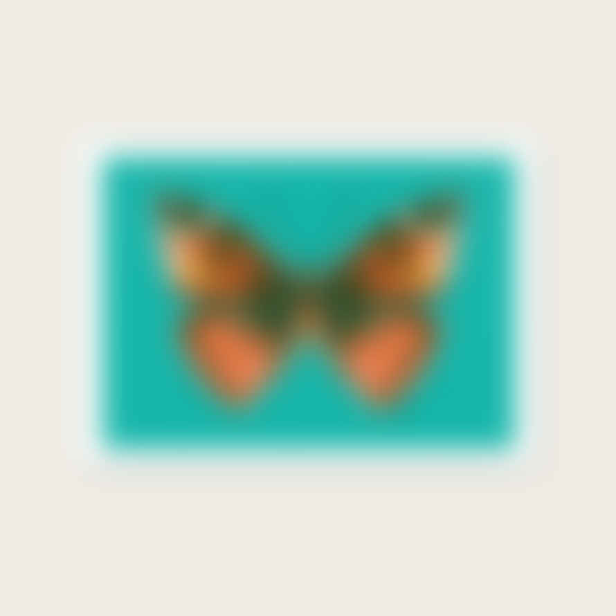 Lele Saa Butterfly Teal A4 Framed Print