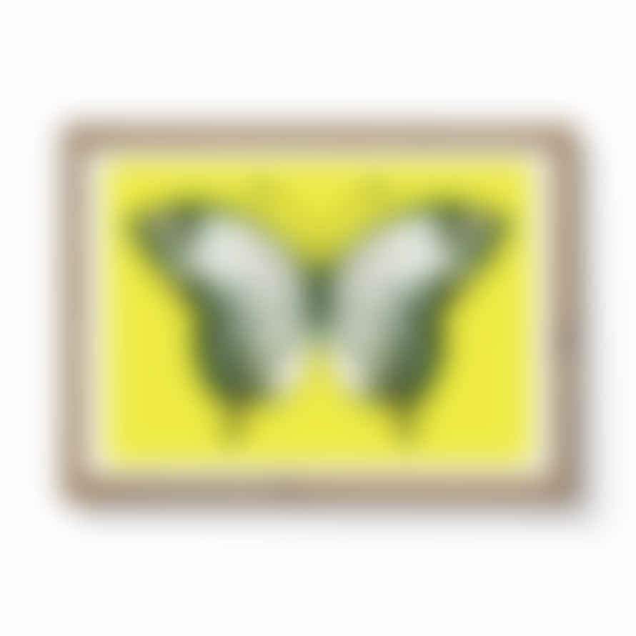 Lele Saa Butterfly Yellow A3 Framed Print