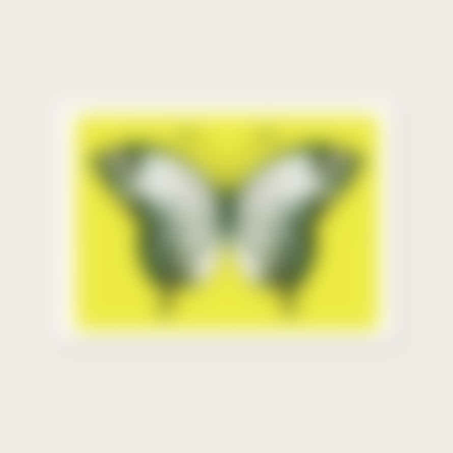 Lele Saa Butterfly Yellow A4 Framed Print