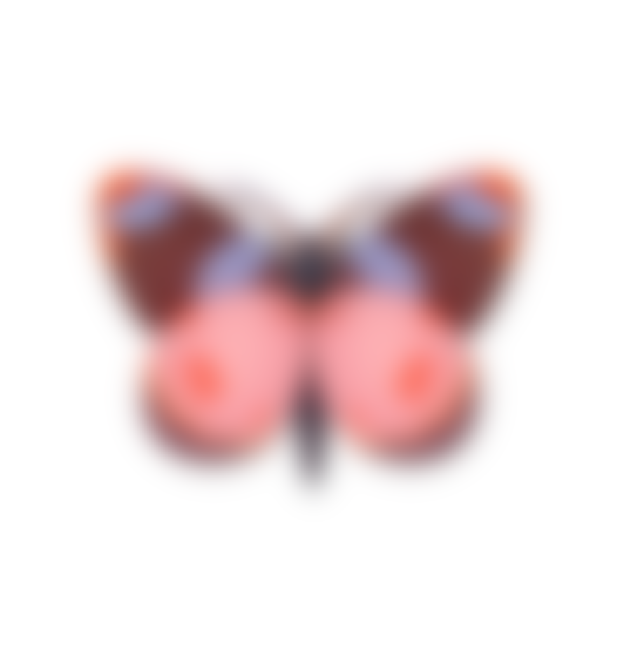 Studio Roof Bellissima Butterfly 3d Wall Decoration