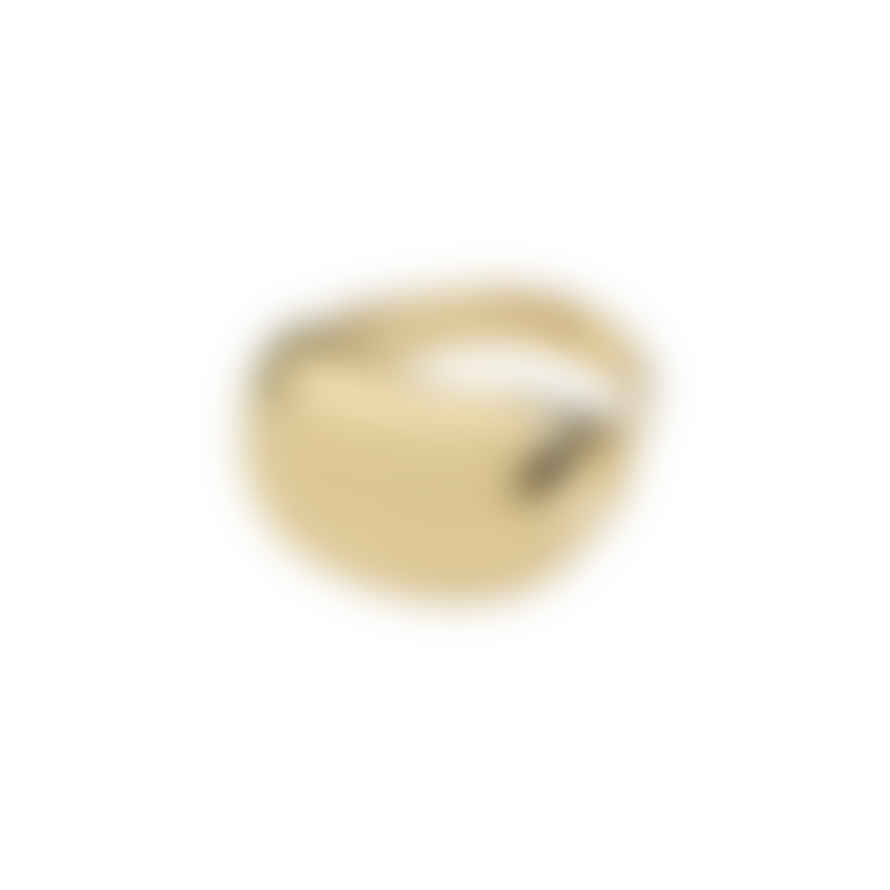 Pilgrim Gold Plated Recycled Statement Pace Ring 